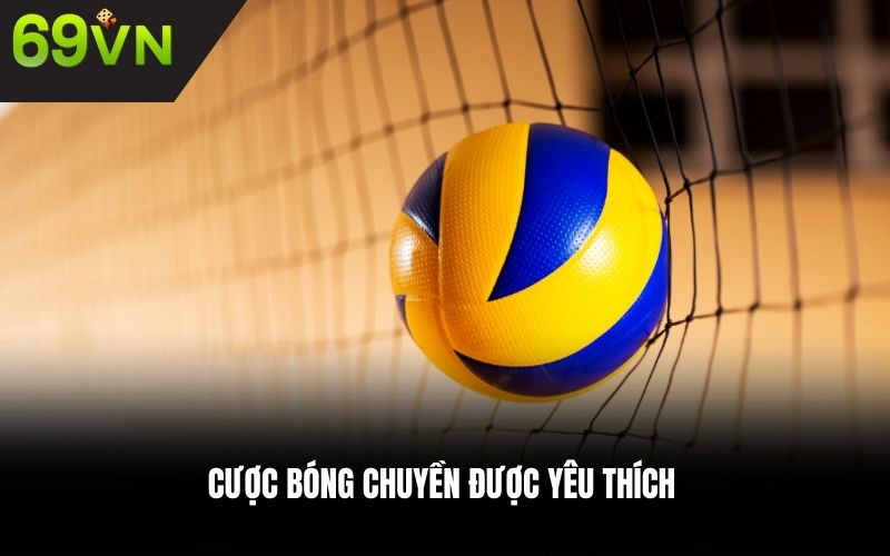 Cược bóng chuyền được yêu thích